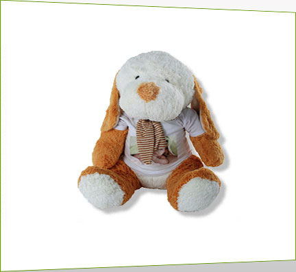 Regalo - peluches, perrito con tu foto Regalo - peluches, perrito con tu foto